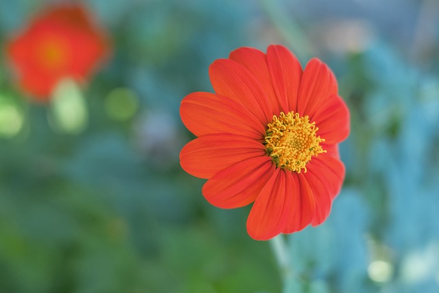 田径——南京室内世锦赛男子三级跳远决赛赛况.