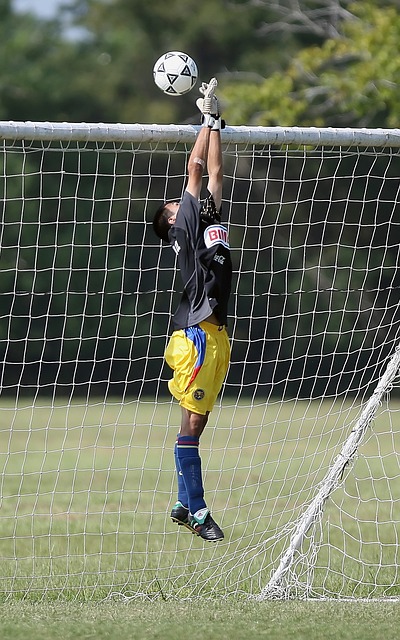 了良好的化 了良好的化