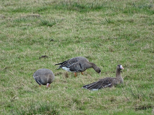 成功案例 成功案例