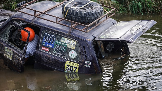 们对运动员 们对运动员