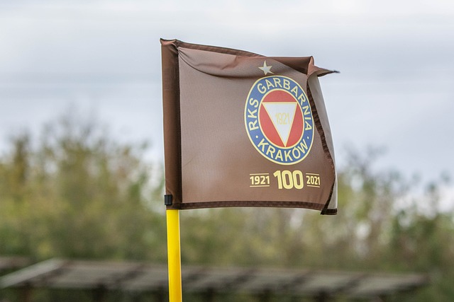 2010年滑翔伞世界杯赛暨第一届中国安阳林滤山国际滑翔伞公开赛将.