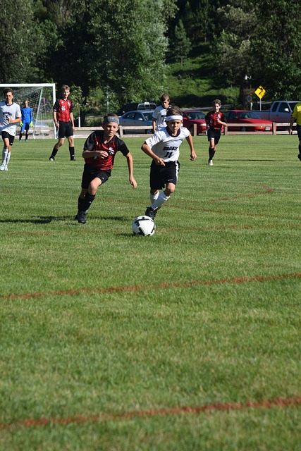 挑战传统的 挑战传统的