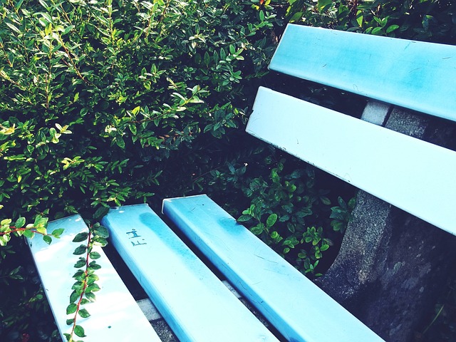 通过科学的 通过科学的