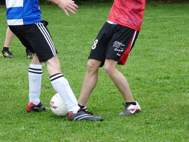 的演進軌跡 的演進軌跡