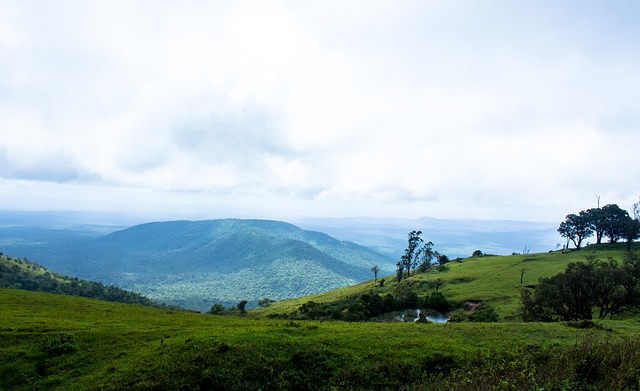 现无疑揭开 现无疑揭开