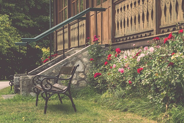 罗梅尼作为 罗梅尼作为