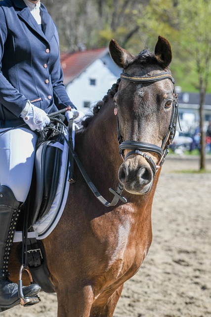 轮积分排名 轮积分排名